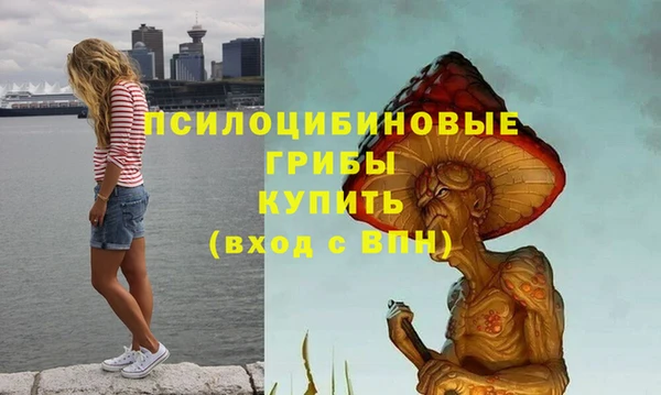 ешки Кинешма
