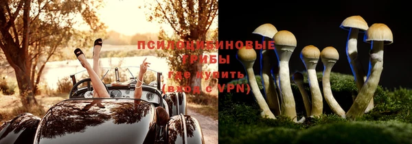 соль ск Карпинск