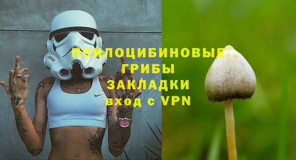 соль ск Карпинск